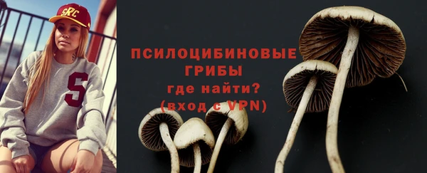 прущие грибы Киреевск