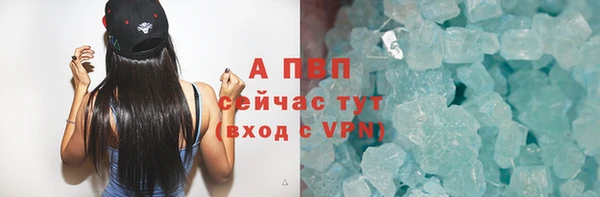 стаф Нефтегорск