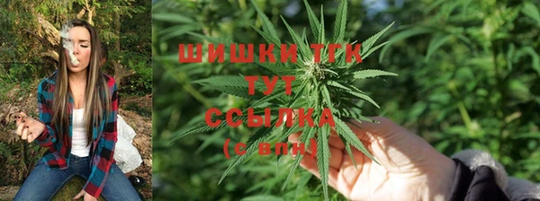 прущие грибы Киреевск
